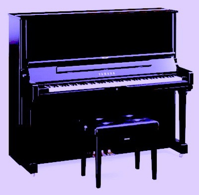Фортепиано или синтезатор.